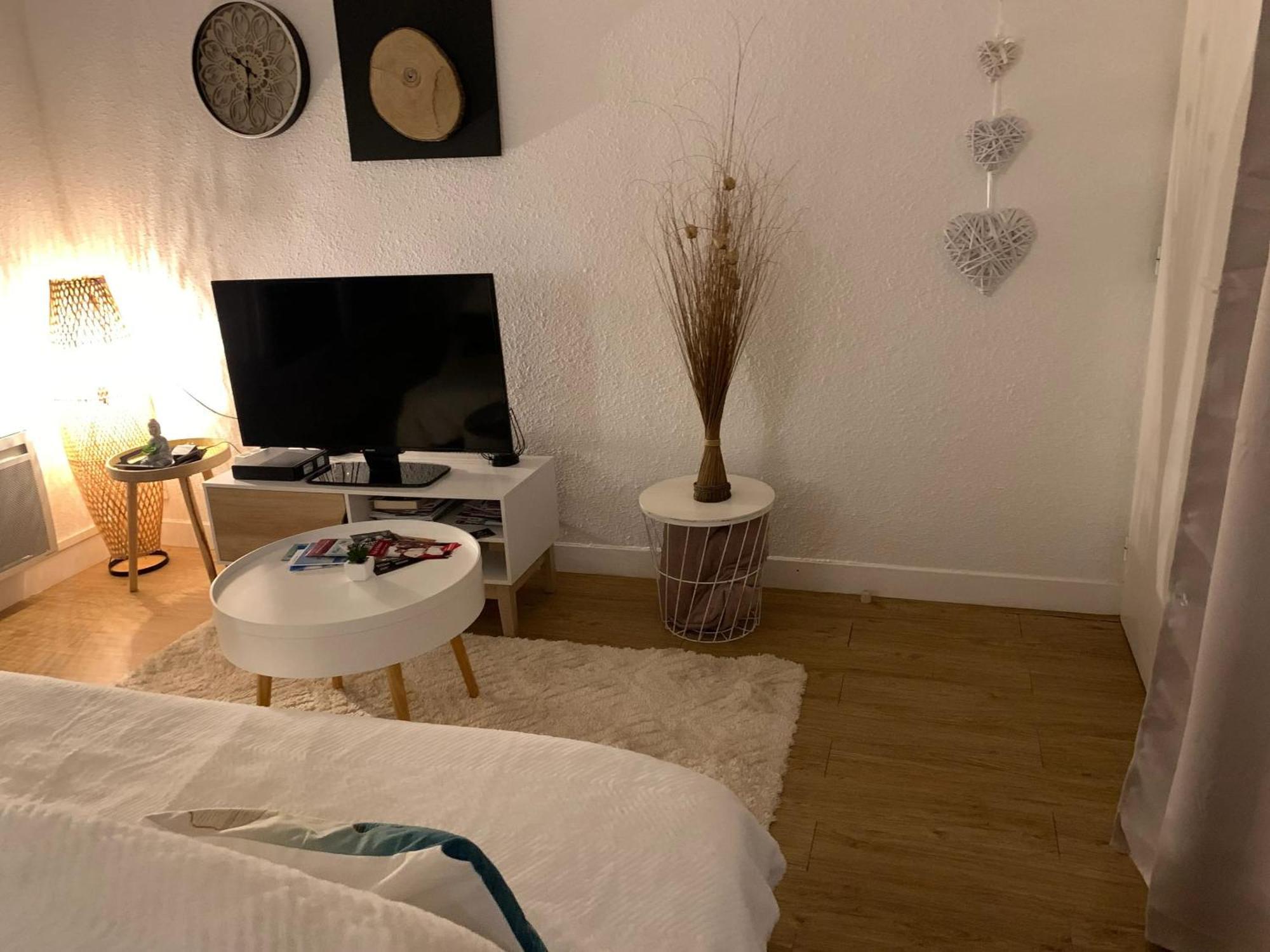 Appartement Charmant A Bagneres De Bigorre 56 M² Avec Balcon Eksteriør billede